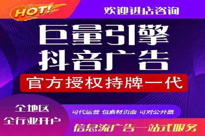 专业竞价SEM托管成功案例解析