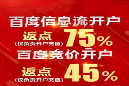 某品牌sem竞价托管代运营的精彩瞬间